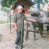 Gi