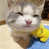 FI
