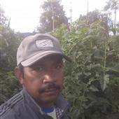 Tê