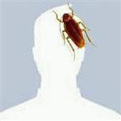 Bă